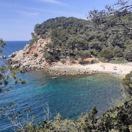 Bandol Maison De Campagne Dış mekan fotoğraf