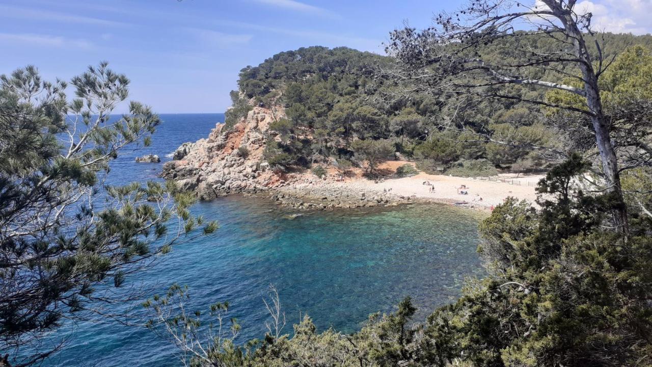 Bandol Maison De Campagne Dış mekan fotoğraf